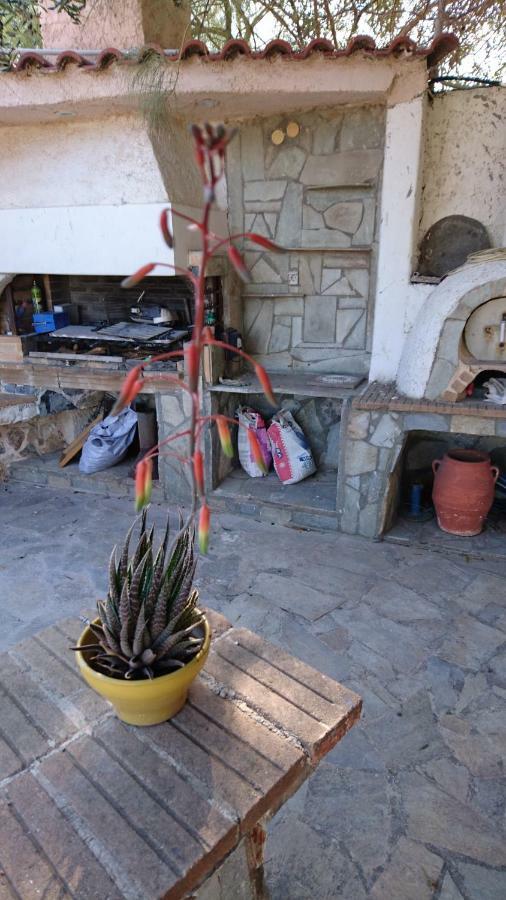 Agia Marina MikrolimanouΤο Πετρινο别墅 外观 照片
