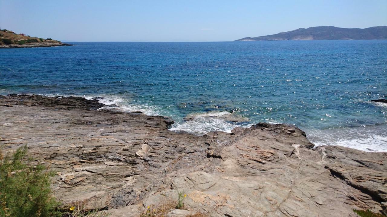 Agia Marina MikrolimanouΤο Πετρινο别墅 外观 照片